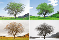 The Stages of Live & Estate Planning